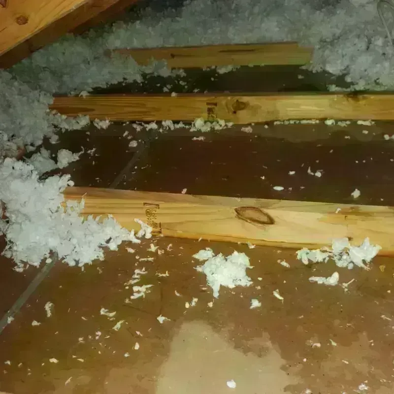 Attic Water Damage in Henderson County, TN